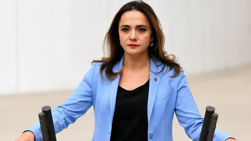 CHP’li İlgezdi’den özel hastanelere tepki